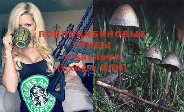 трава Переславль-Залесский